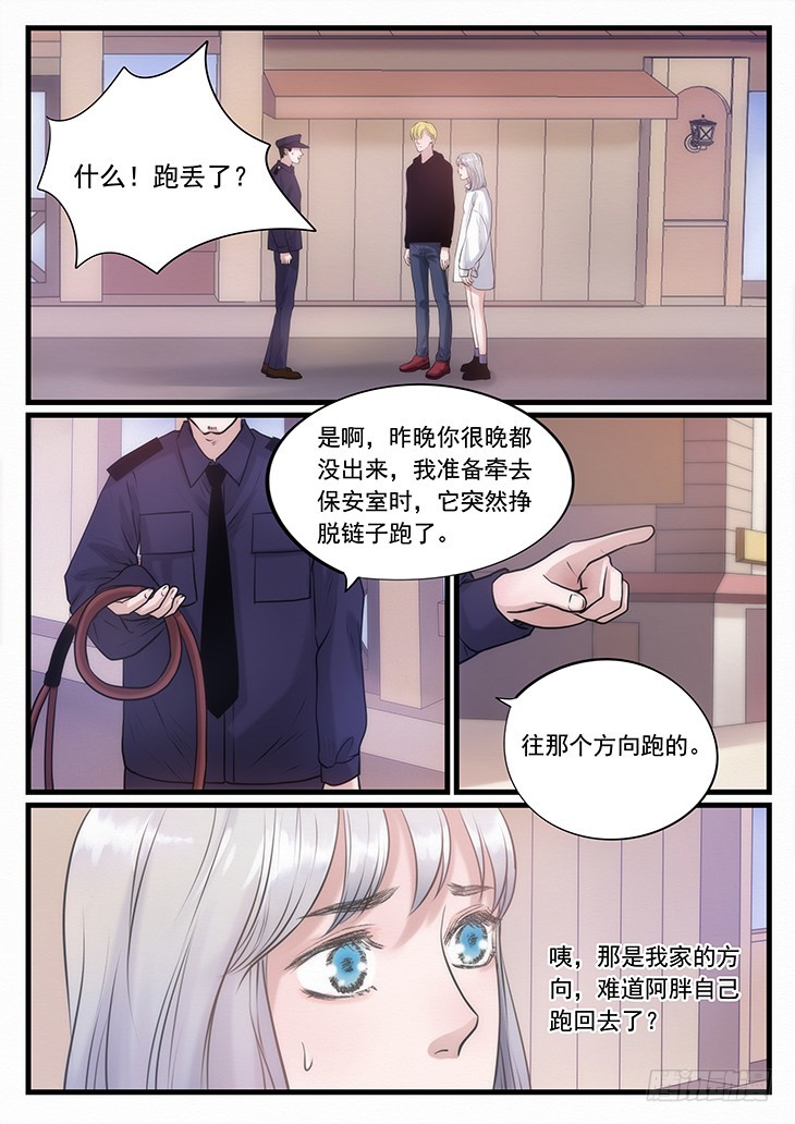 11.阿胖丢了-第11话