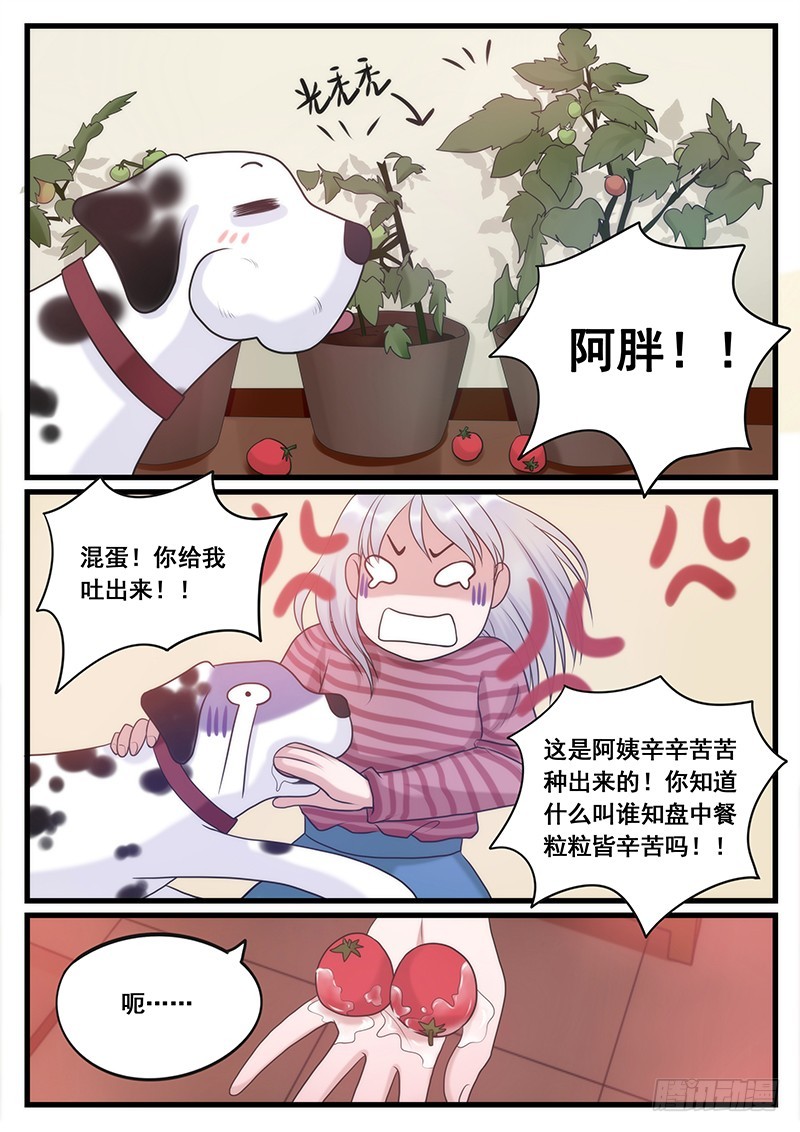 15.意外的小秘密-第15话