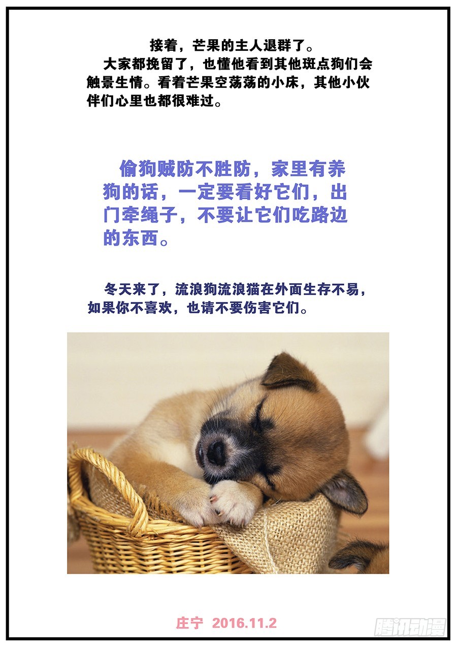 23.情不知何起-第23话