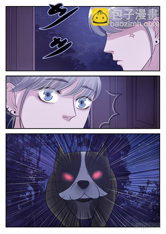 5.久别重逢-第5话