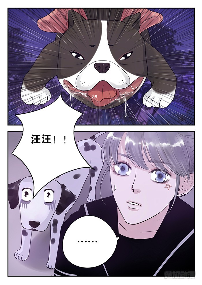 5.久别重逢-第5话