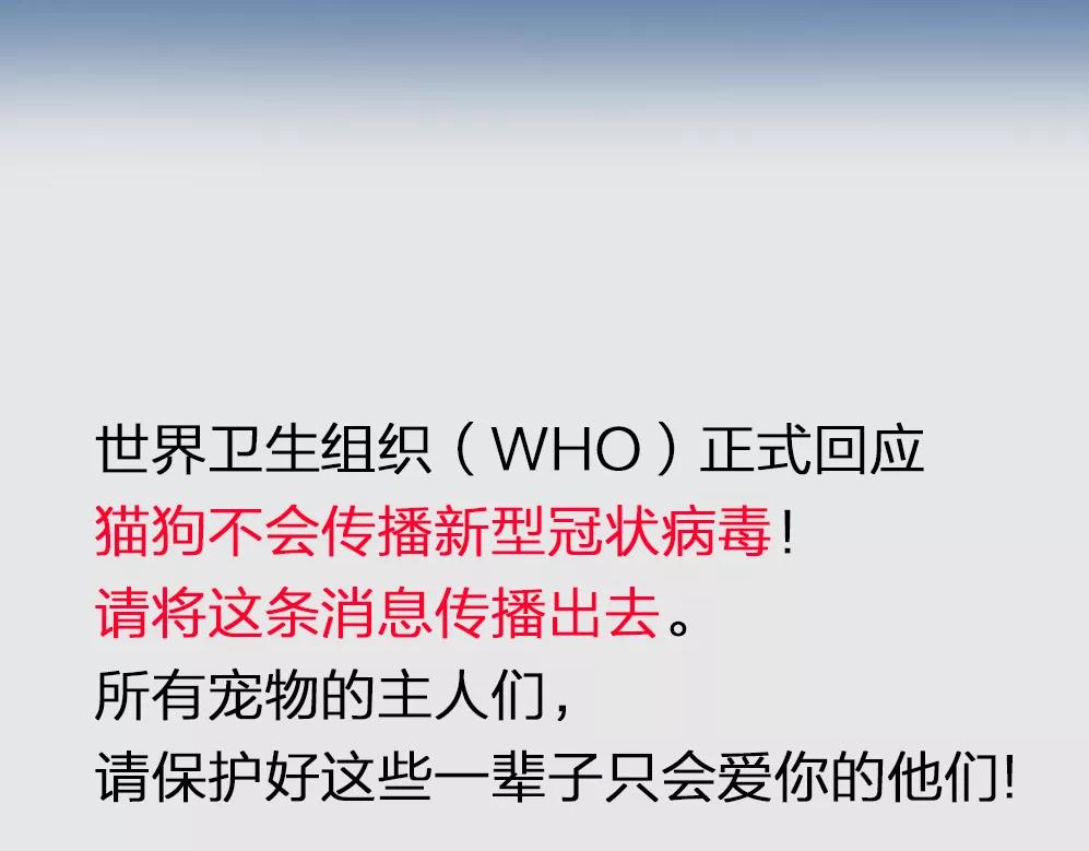 疫情下的中国，眼泪和勇气并重-第13话