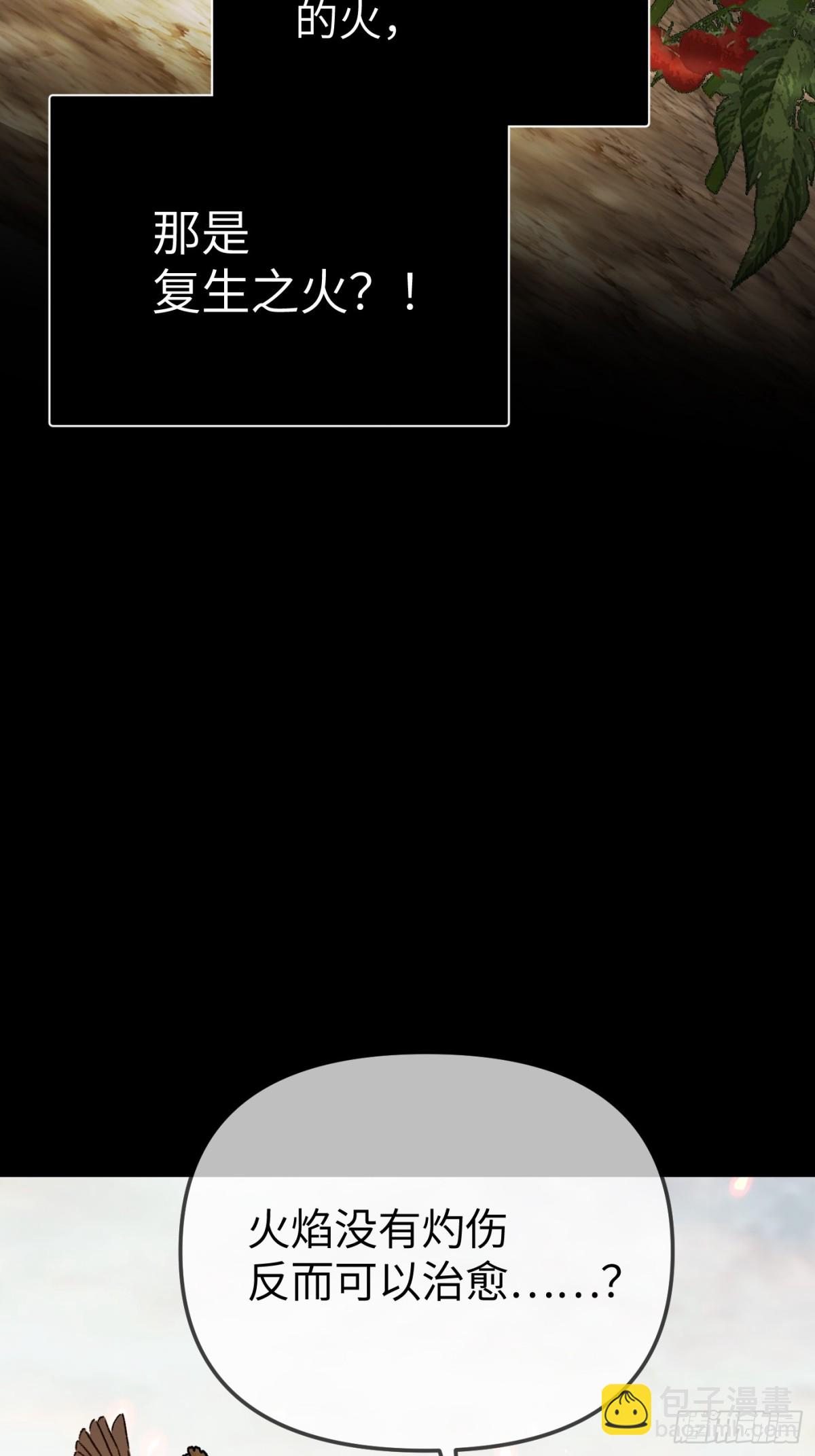 23-心之火（中）(1/4)-第25话