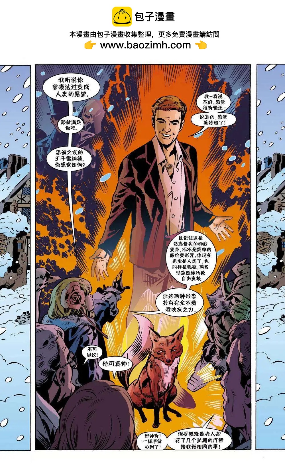 Fables - 第91卷 - 4