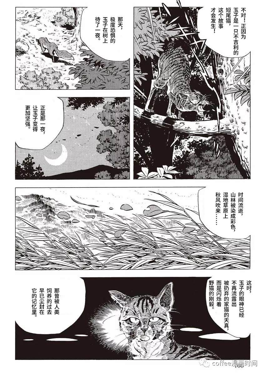 罰貓的夢想 - 第1話(1/2) - 8