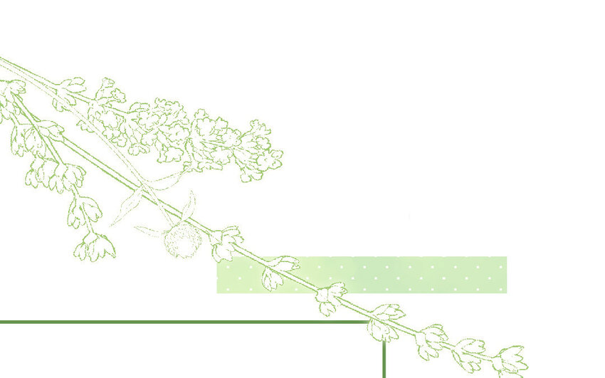 21 第20话  公主(1/3)-第21话