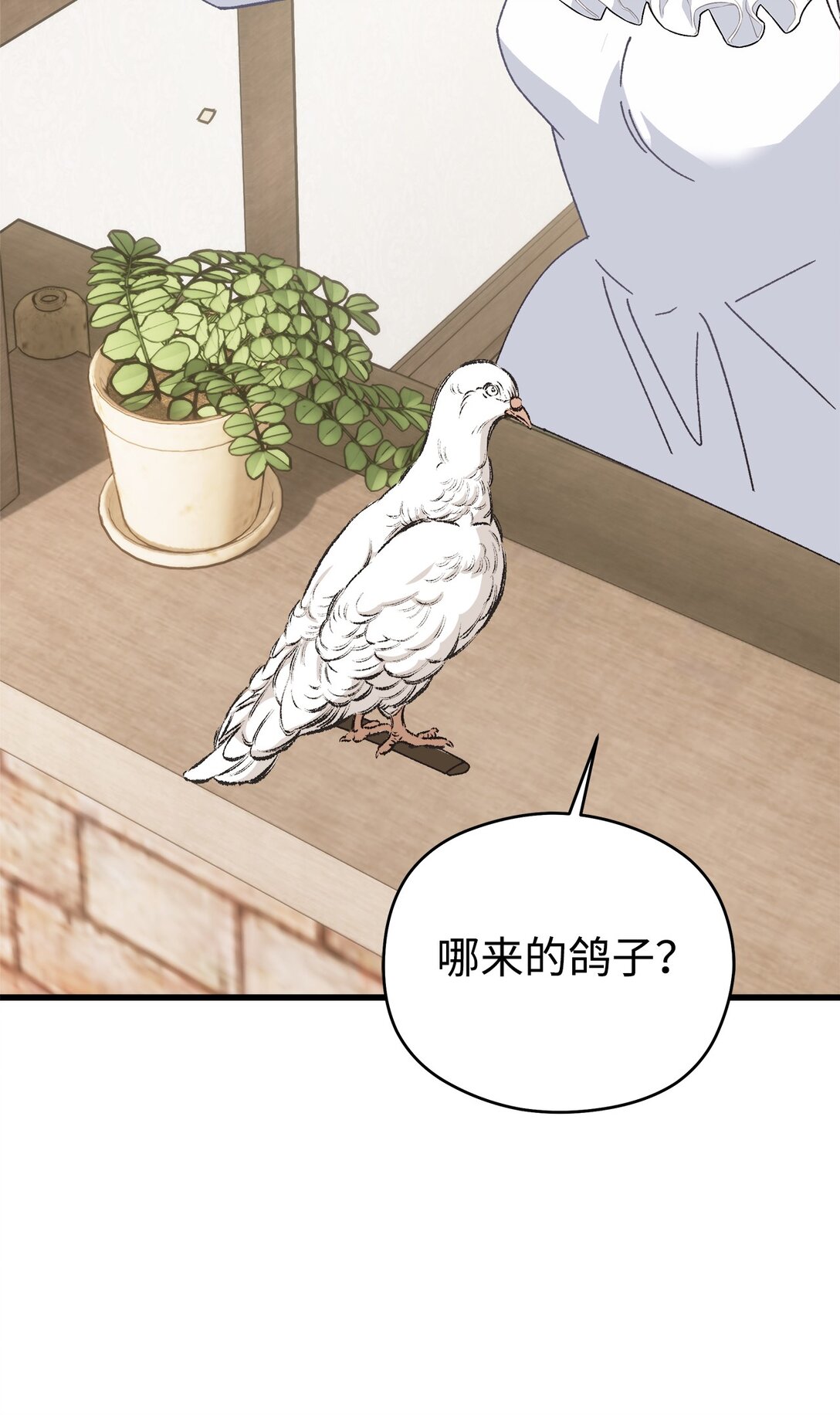 25 捡个小毛贼(1/2)-第25话