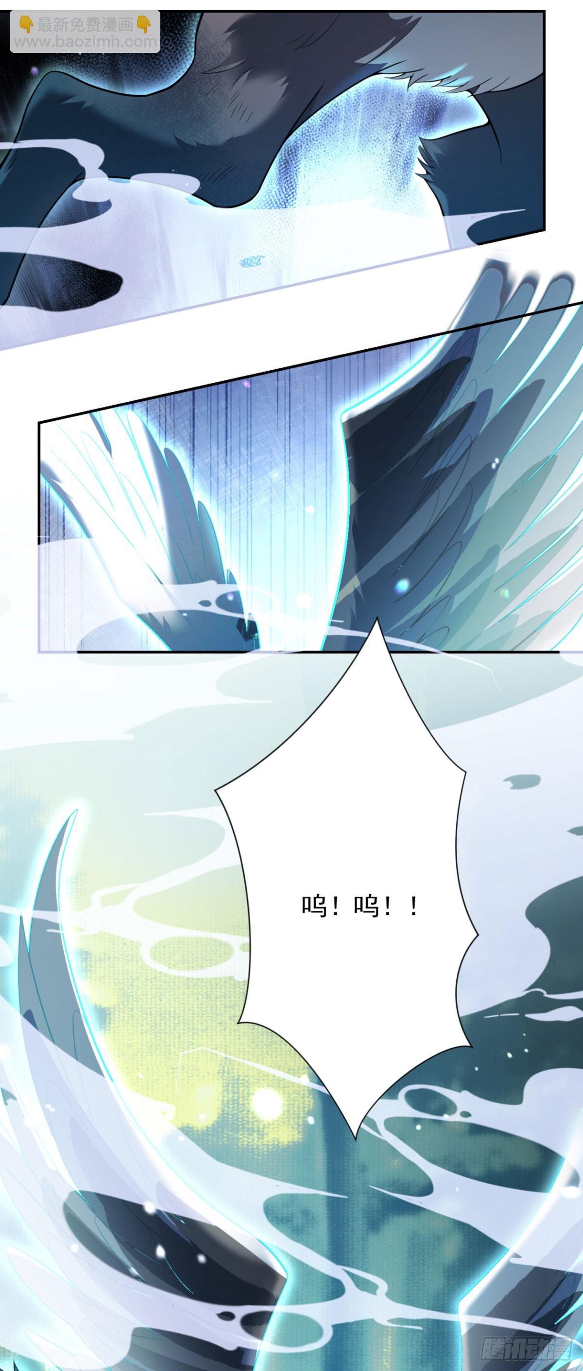 第62话 进化，意外的惊喜-第63话