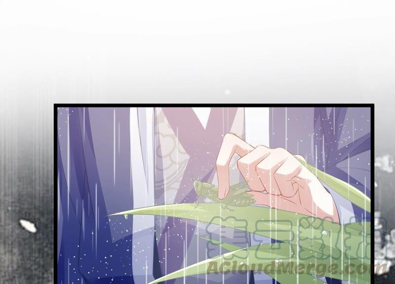 第53话 给母妃报仇！(1/2)-第61话