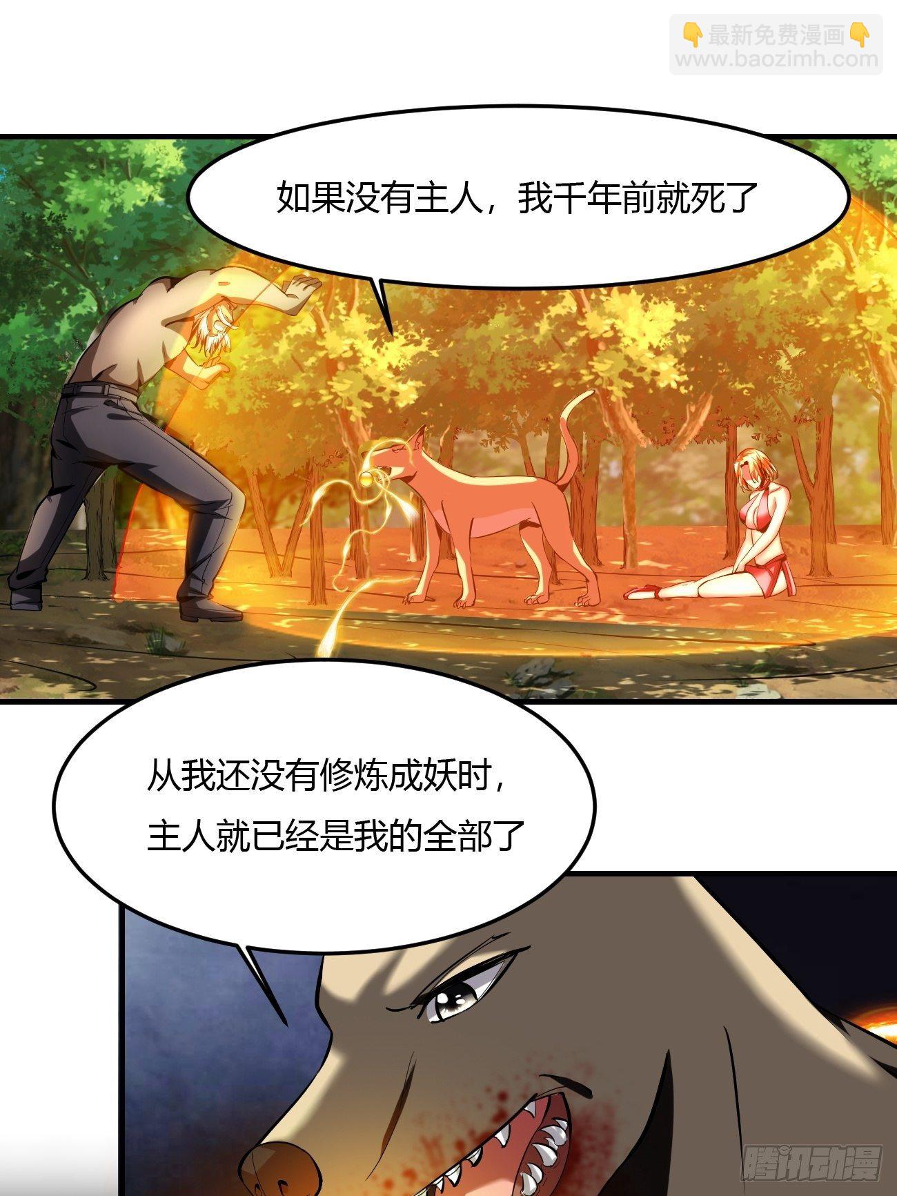 反派妖婿 - 62:溫柔鄉與血戰場(1/2) - 5