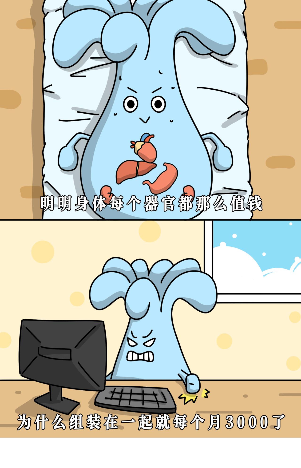 每个器官：价值不菲  组成的我：一个月3000-第19话