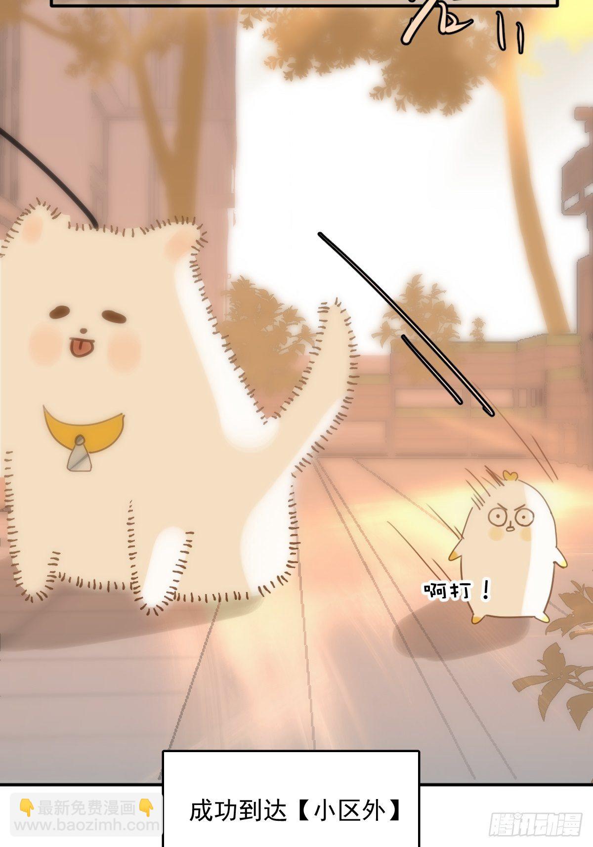 繁星告訴我 - 第34話 醜娃娃找老婆(2/2) - 1