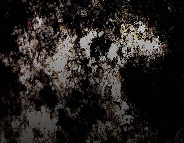 反正是歐風小甜漫 - 第127話 拉開序幕(6/6) - 4