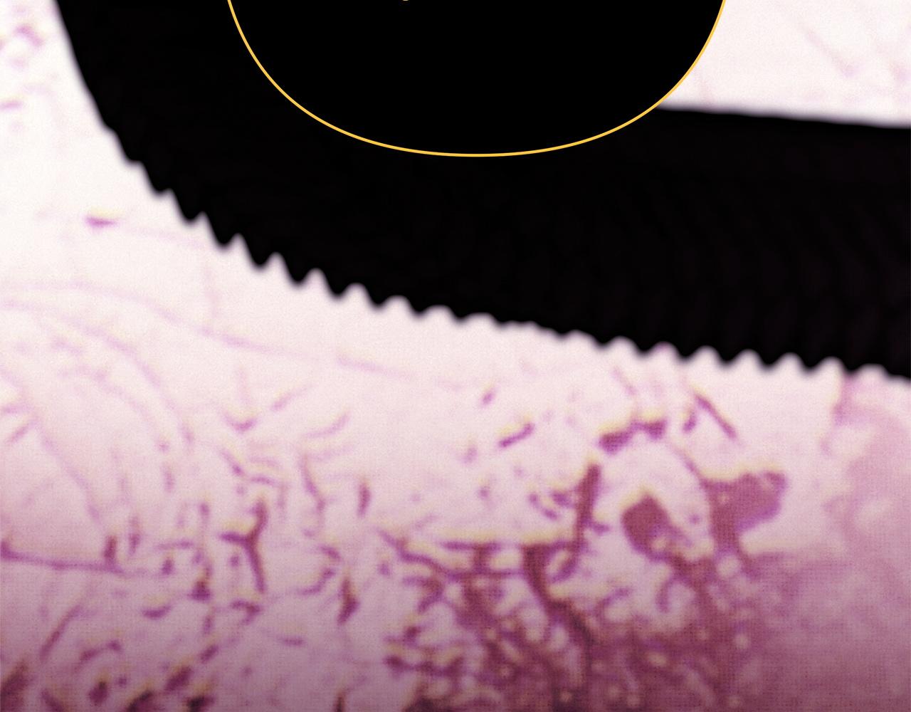 反正是歐風小甜漫 - 第140話 魔神的執念(2/7) - 2