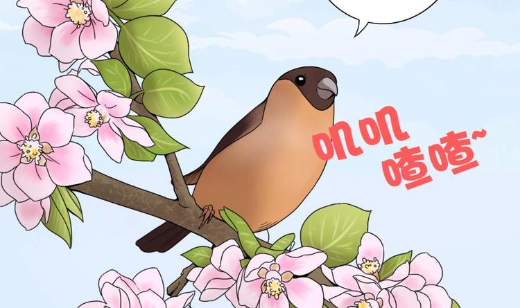 第4话 决定了！我来当老板！(1/2)-第5话