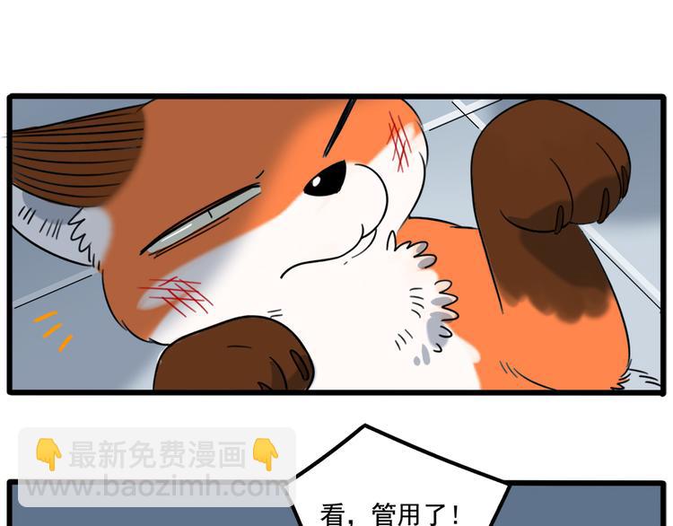 第102话(1/2)-第125话