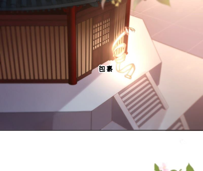 廢柴女配，獨攬羣芳 - 第58話：國師的秘密空間(1/2) - 3