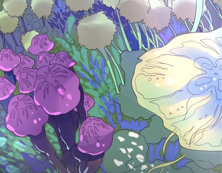 序章  废柴少女，异世华丽成王(1/2)-第1话