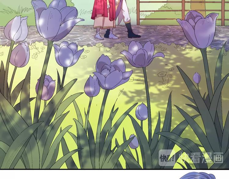 第29话 收集骑士之路开启！(1/3)-第31话