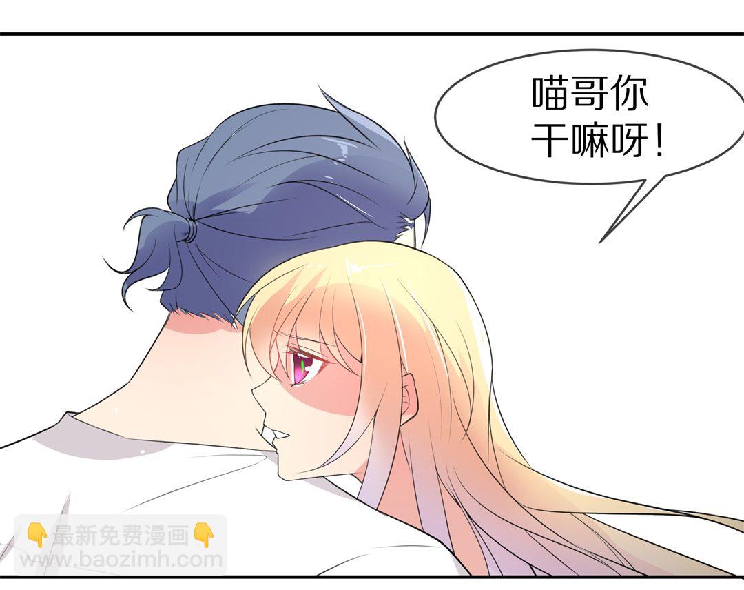 第146话 喵哥的身份（1）-第147话