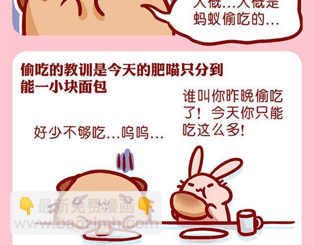 是谁动了我的了面包-第11话