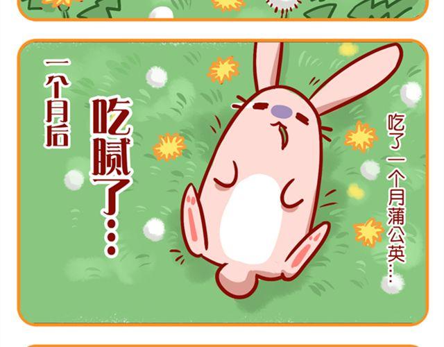 如何养成一只吃肉的兔纸-第13话