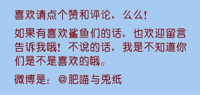 肥肥幼儿园-第21话