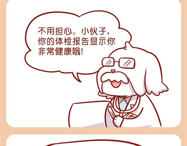 肥喵與兔紙 - 胖砸！快減肥！ - 1