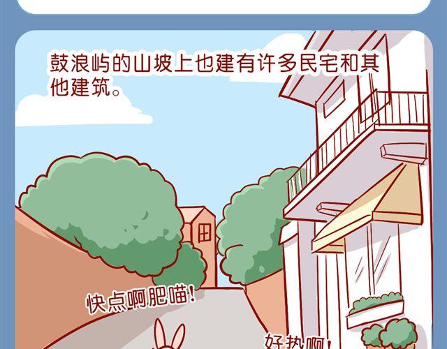 肥喵與兔紙 - 胖砸！快減肥！ - 2