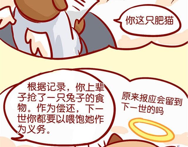 爱上了偷我鸡腿吃的你-第5话