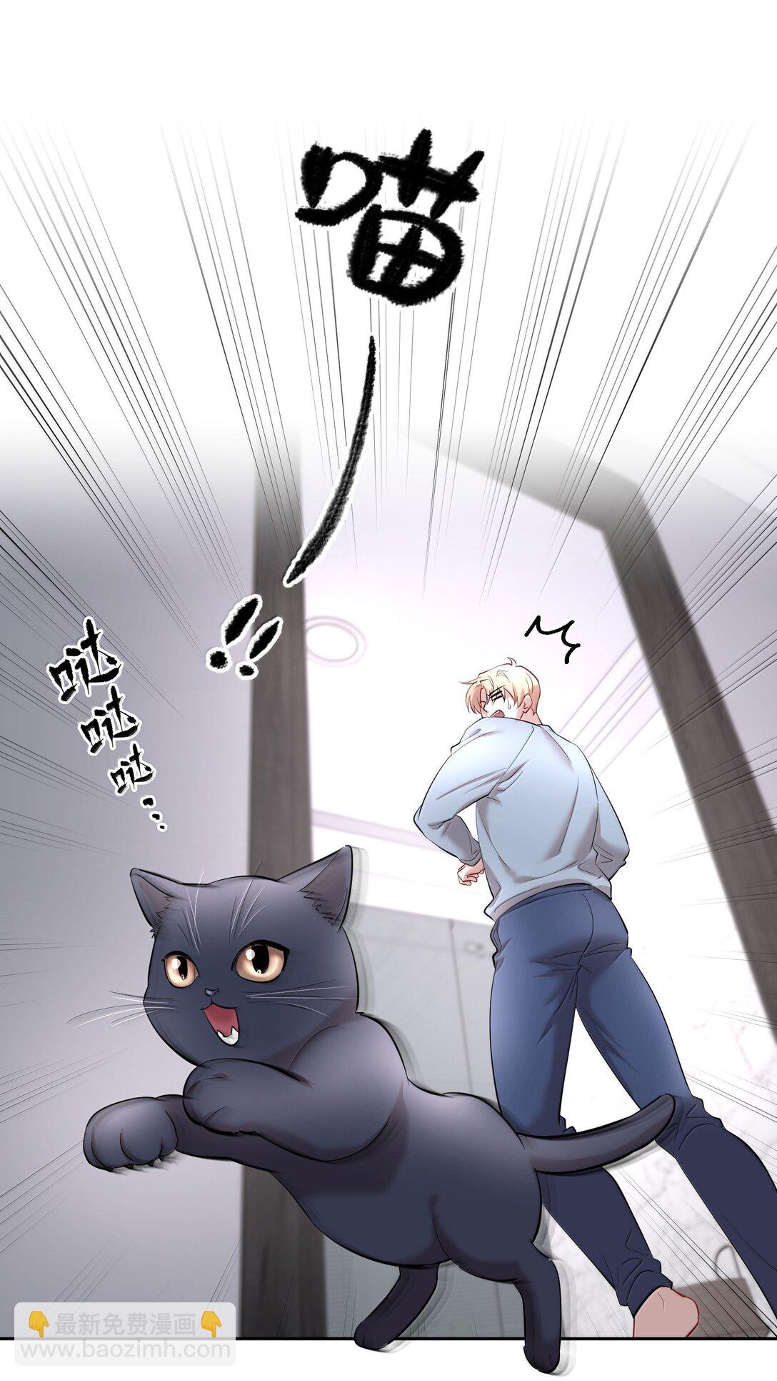 第97章 &ldquo;故猫&rdquo;-第119话