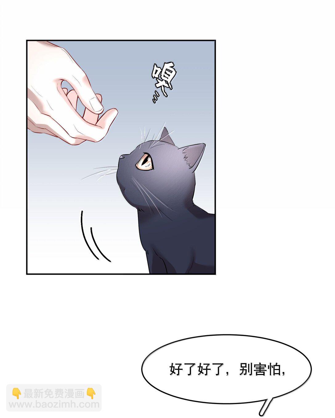 第97章 &ldquo;故猫&rdquo;-第119话