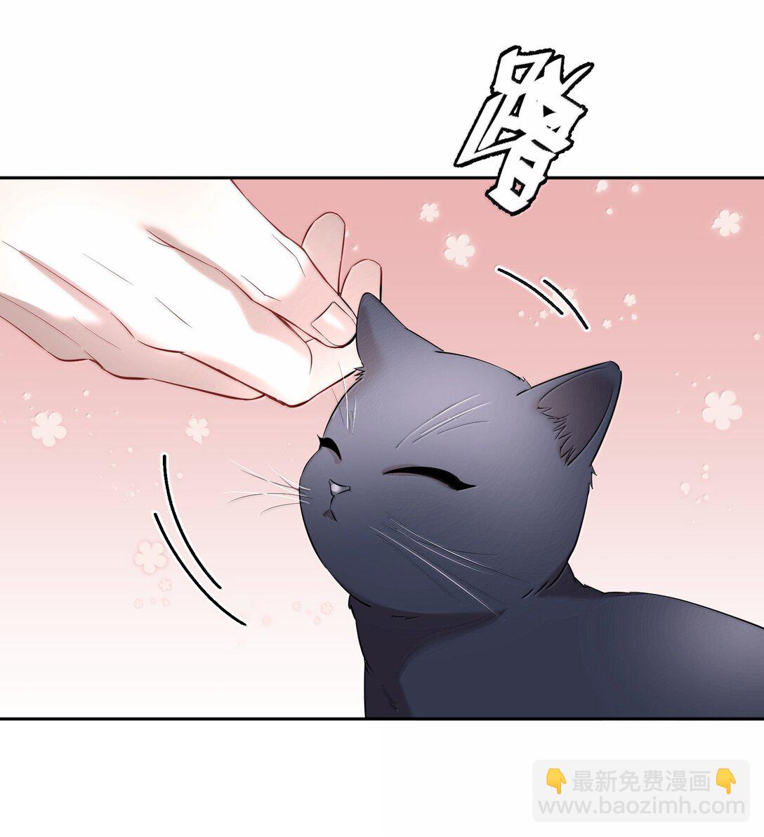 第97章 &ldquo;故猫&rdquo;-第119话