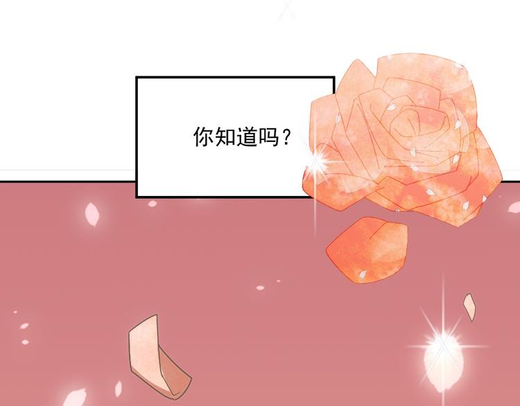 第一话 已逝的爱(1/2)-第1话