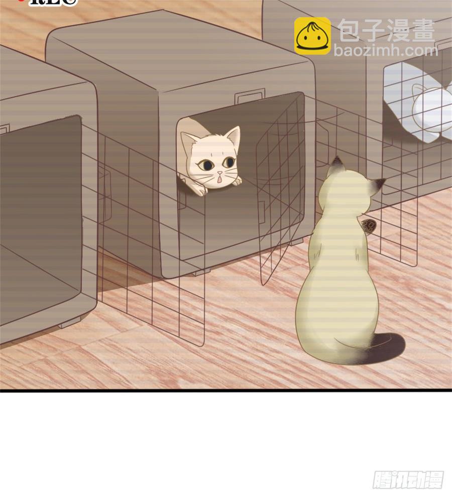 第39话 小可爱-第39话