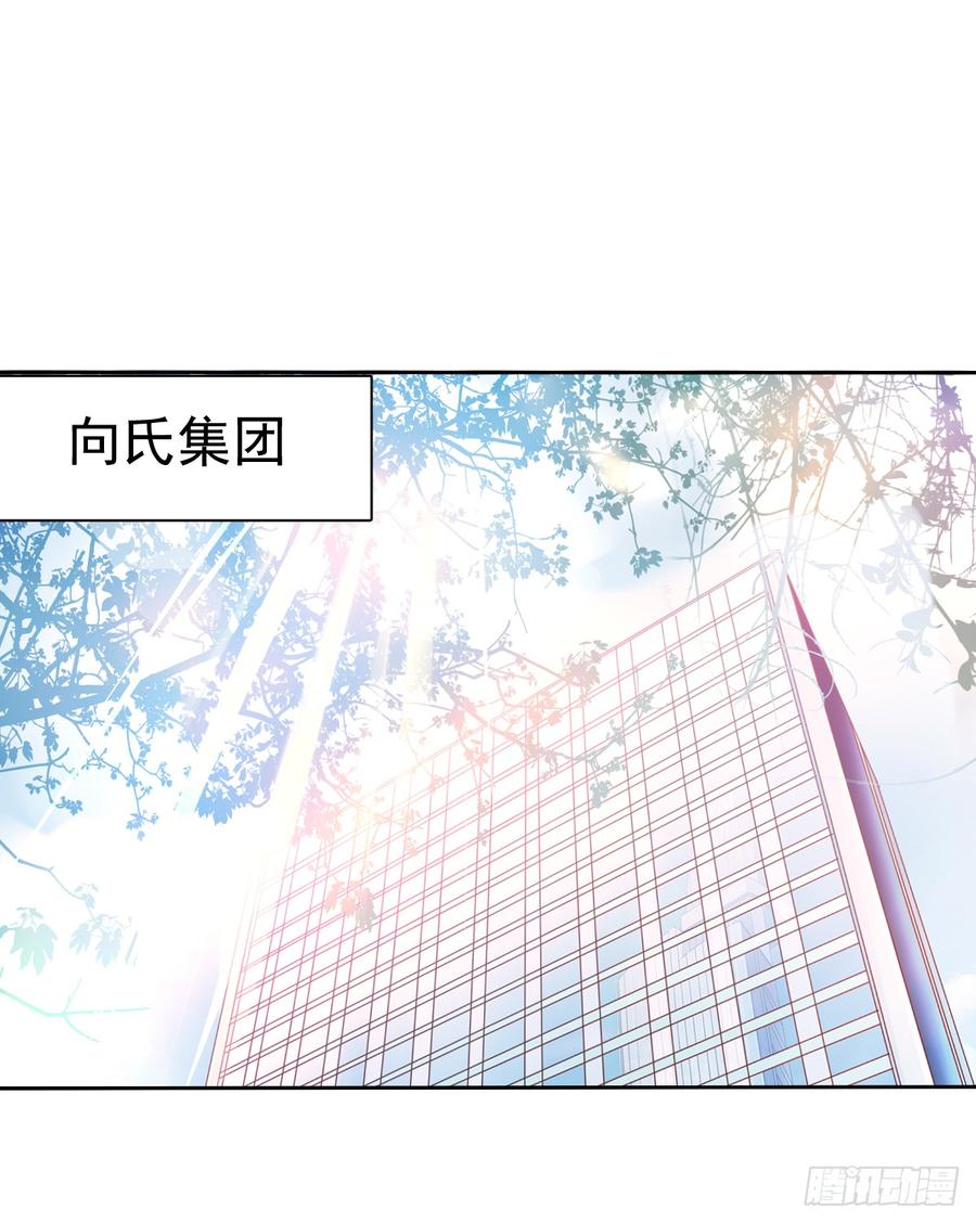 谁是天鹅?(1/2)-第51话