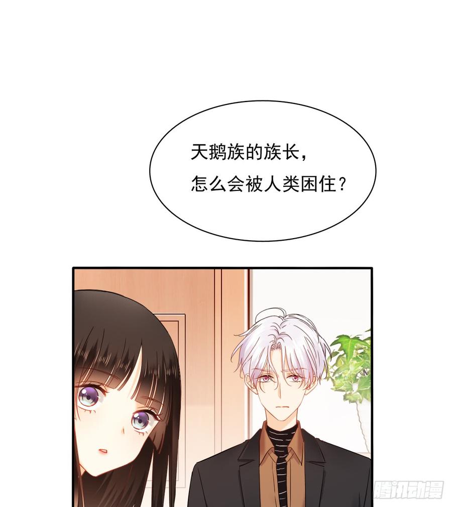 不见她踪影(1/2)-第77话