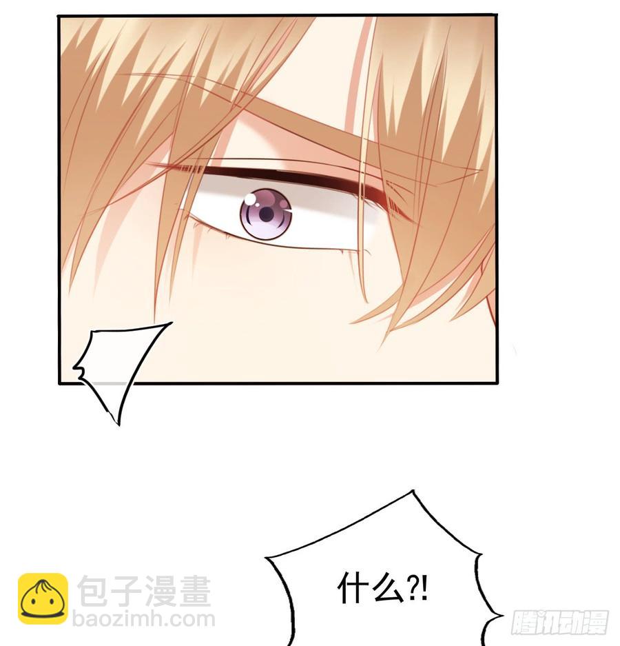 消失的天鹅(1/2)-第95话