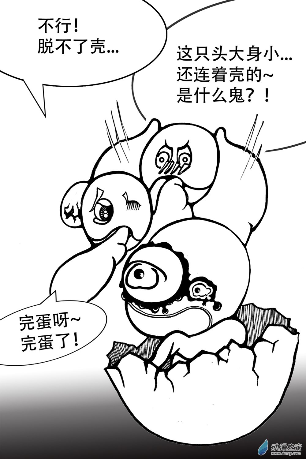 第05话 谁要完蛋（下）-第5话