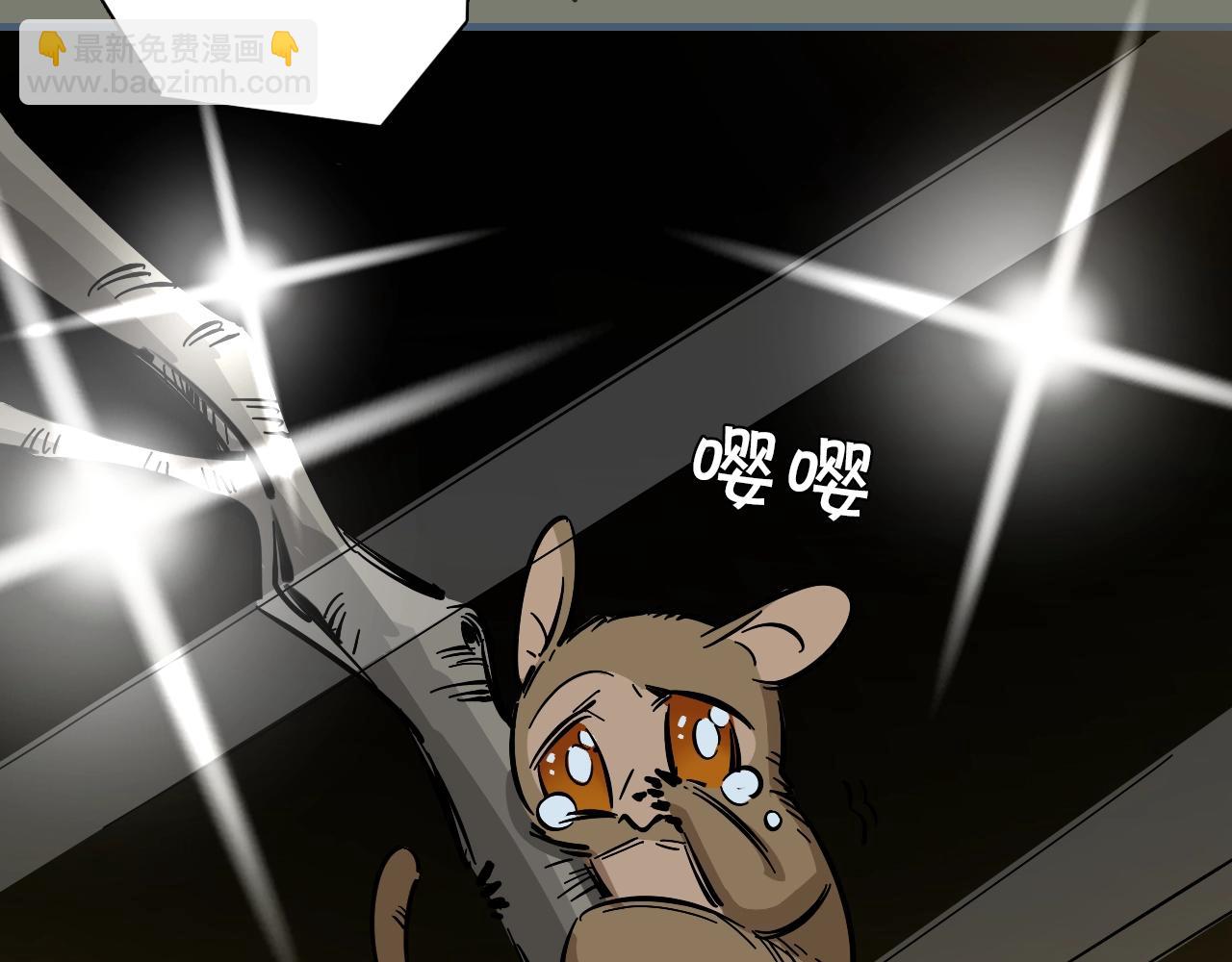 第16话 闪光灯的滋味(1/3)-第17话