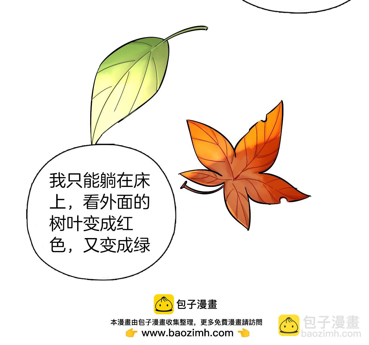 第42话 生活里的光(1/2)-第43话