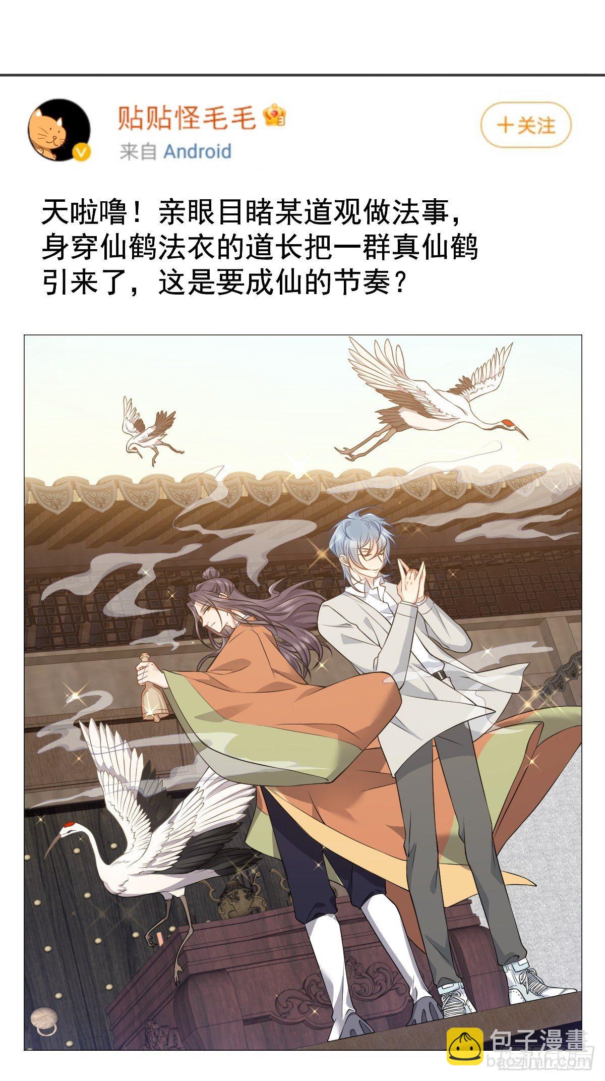 第123话 仙鹤引-第127话