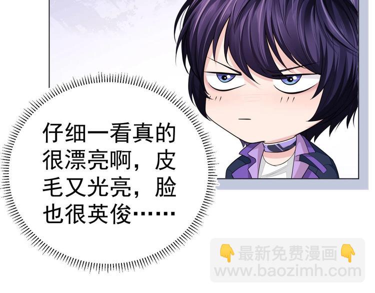 番外1 大家都变成动物哒！(1/2)-第11话