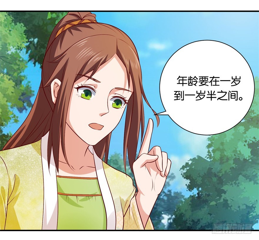 第三十回-第31话