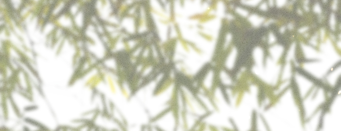 第二十四话 肉包子打狗(1/4)-第25话