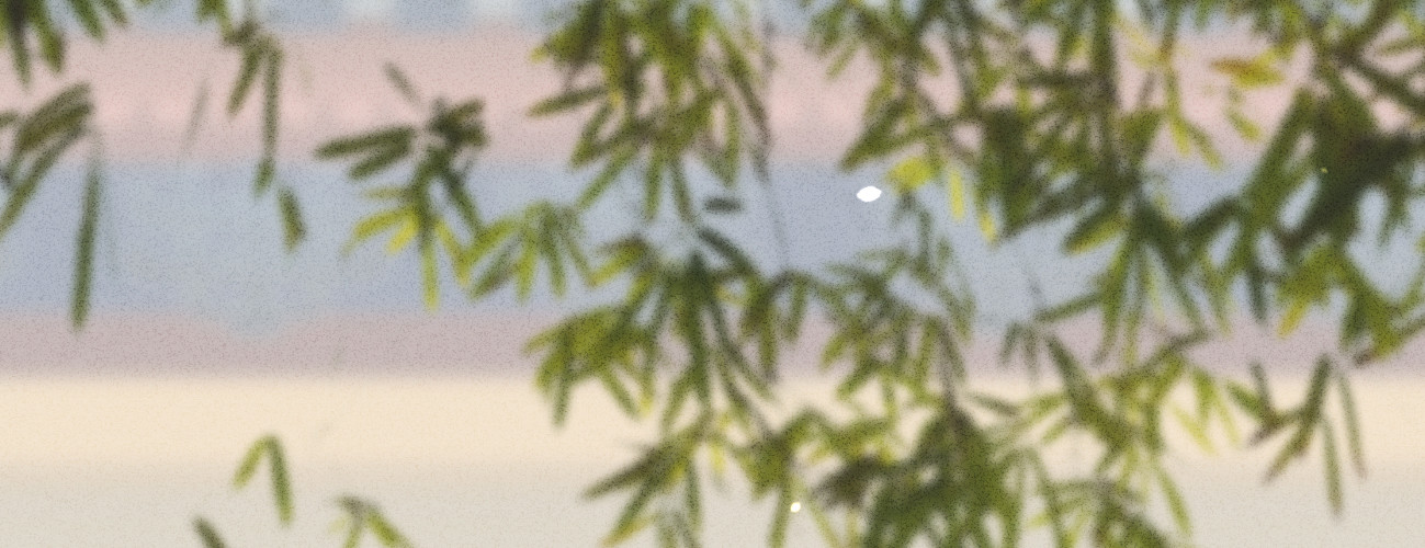 第二十四话 肉包子打狗(1/4)-第25话