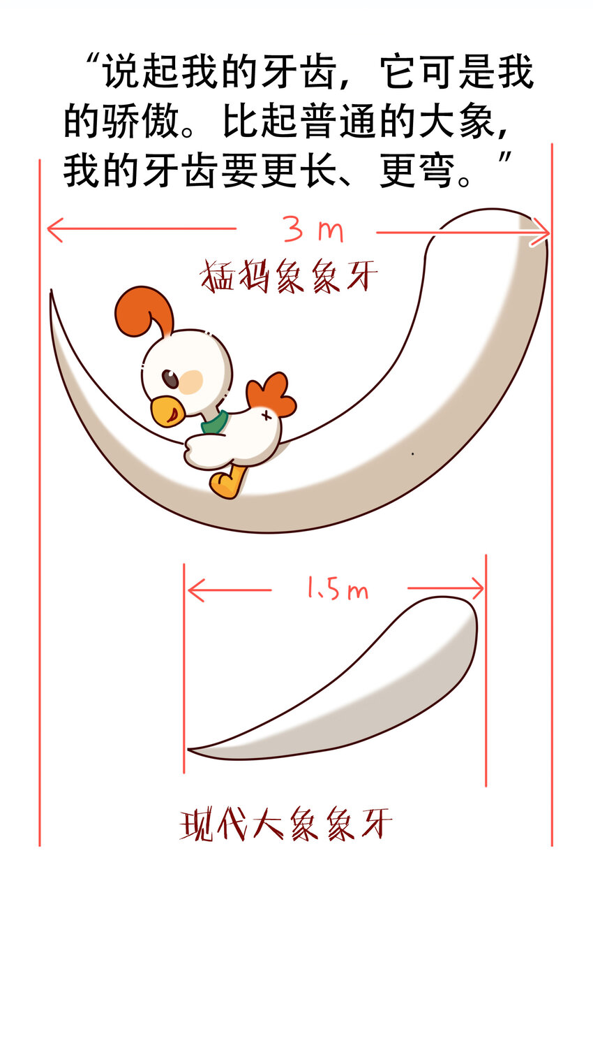 鳳火火帶你瞭解滅絕動物 - 01 冰川時代的人氣巨獸 - 4