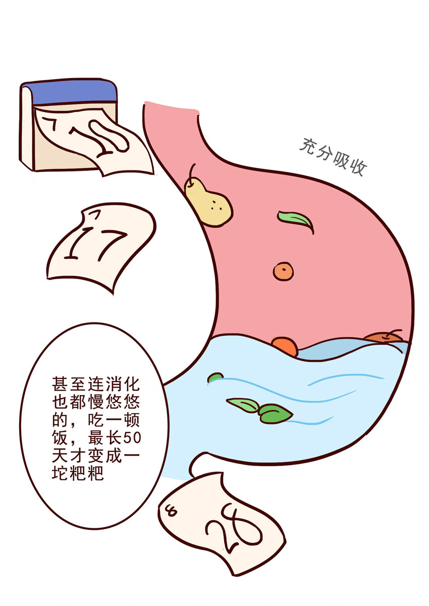 鳳火火帶你瞭解滅絕動物 - 05 有“金剛爪”的大可愛 - 7