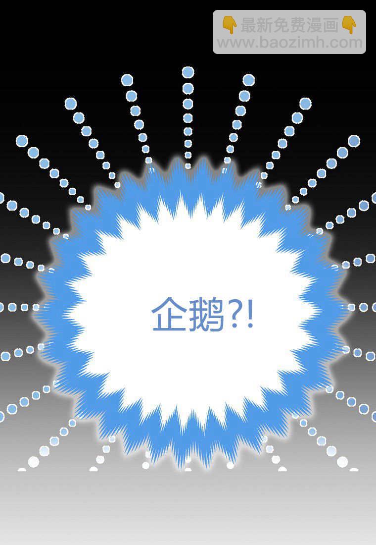 瘋狂虎鯨愛惜的企鵝 - 第01話(1/3) - 1