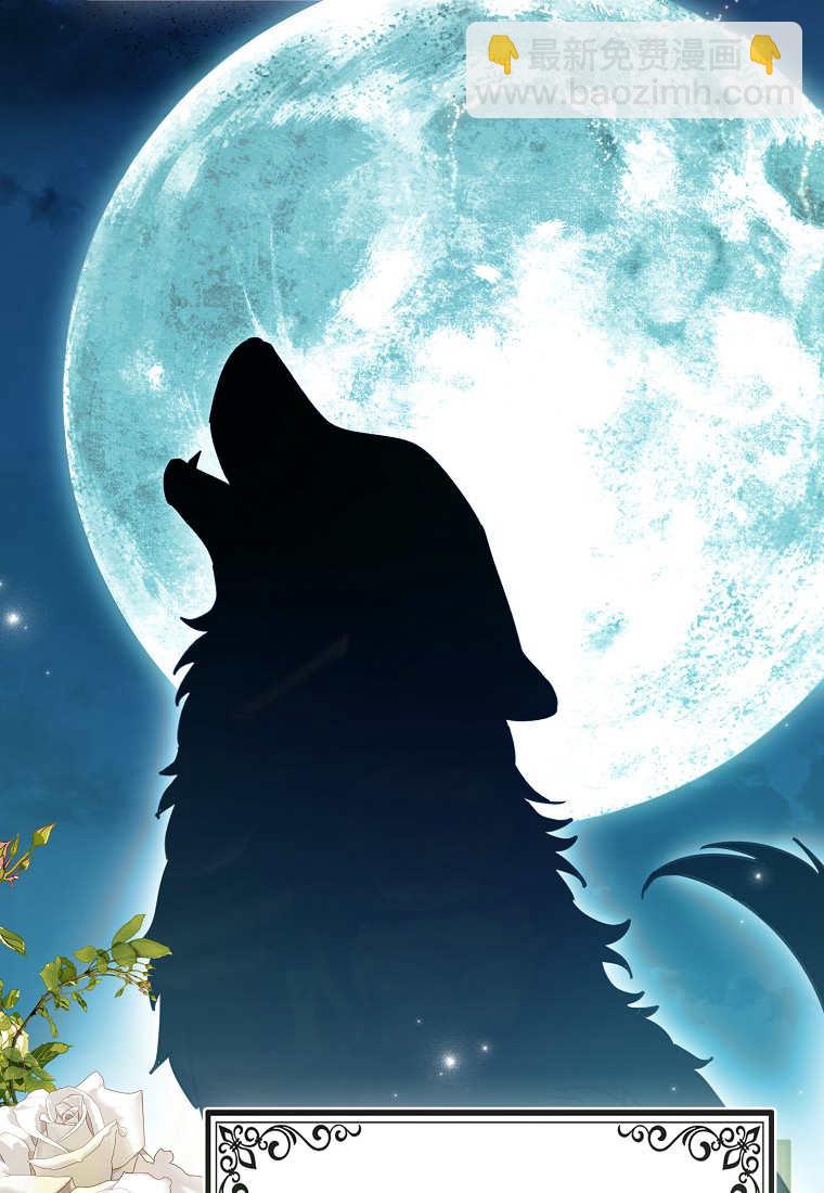 瘋狂虎鯨愛惜的企鵝 - 第01話(1/3) - 7